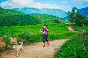 BIB: 
                            <button type="button" onclick="openModal(25042516)" class="btn btn-primary btn-sm float-right btn-popup" data-toggle="modal" data-target=".modal-high-quality">
                        <i class="fas fa-shopping-cart"></i> Add to Cart
                    </button>
                                            <button type="button" onclick="isThisMe(25042516, true)" class="btn btn-success btn-sm float-right btn-popup btn-isme hidden" data-toggle="tooltip" data-placement="bottom" title="นี่คือรูปของคุณใช่ไหม คลิกที่นี่เพื่อเอาเข้าอัลบั้ม">
                        <i class="fas fa-plus"></i> Add to album
                    </button>
                    <button type="button" onclick="isThisMe(25042516, false)" class="btn btn-warning btn-sm float-right btn-popup btn-isnotme hidden">
                        <i class="fas fa-ban"></i> Remove from album
                    </button>